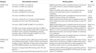 Modulation of Phase Separation by RNA: A Glimpse on N6-Methyladenosine Modification